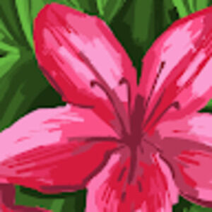 Meet your Posher, Camryn